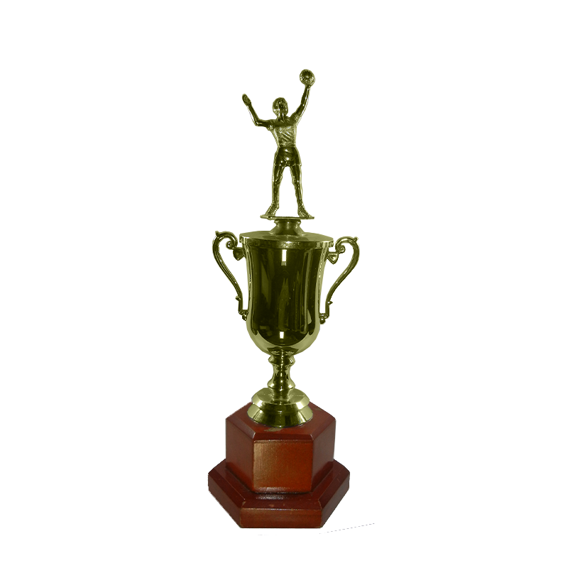 Trofeo División Volleyball - 85010