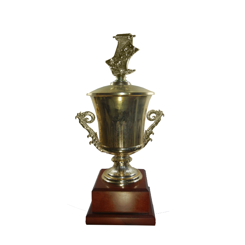 Trofeo División Actuación - 84410