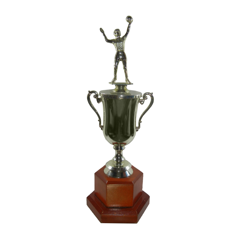 Trofeo División Volleyball - 82260