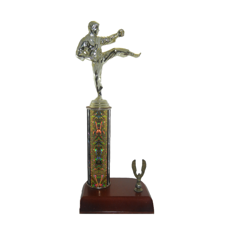 Trofeo División Karate - 80570